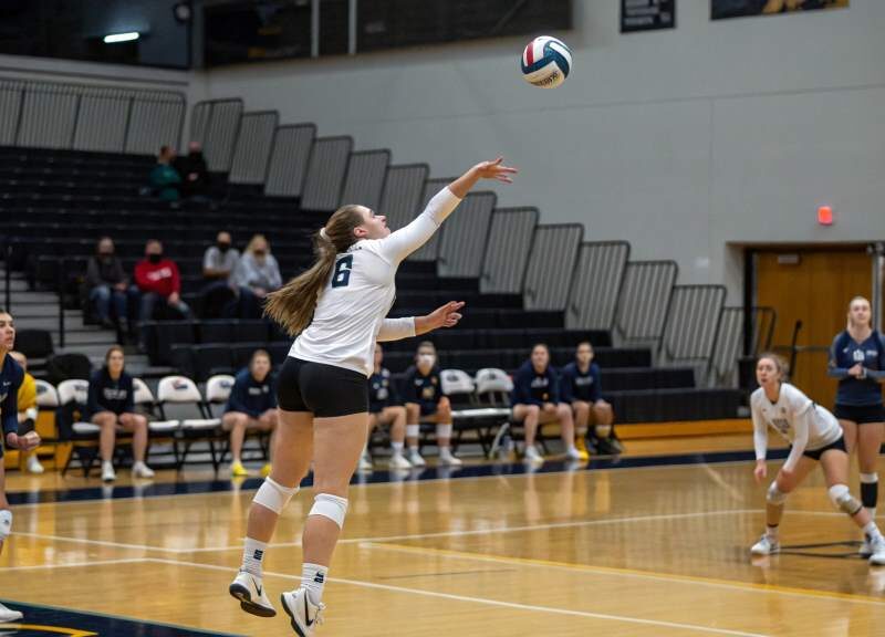 What Are Aces in Volleyball? A Complete Guide to the Game-Changing Serve