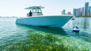 Responsible boater navigating shallow coastal waters near Miami mangroves during a sunny day while protecting marine ecosystems